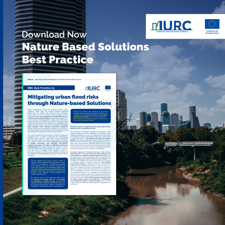 Mitigating Urban Flood Risks Through Nature-based Solutions